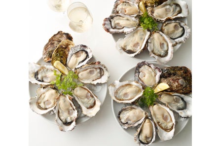 Qmjjcvxg1ggj8m Qmjjcvxg1ggj8m