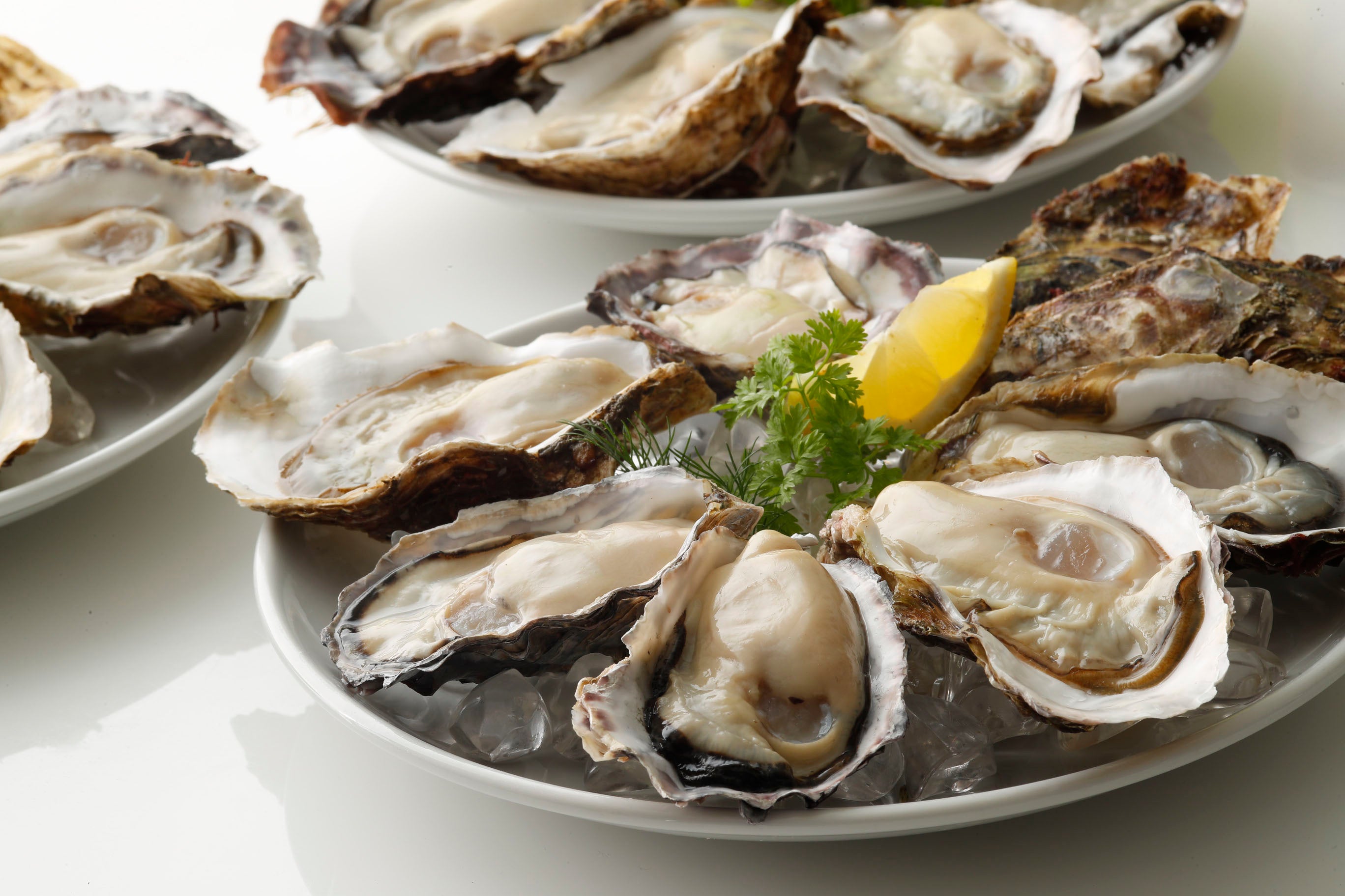 生牡蠣イメージ