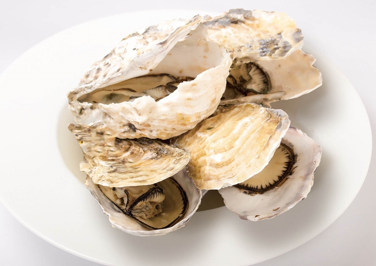 牡蠣のワイン蒸しイメージ