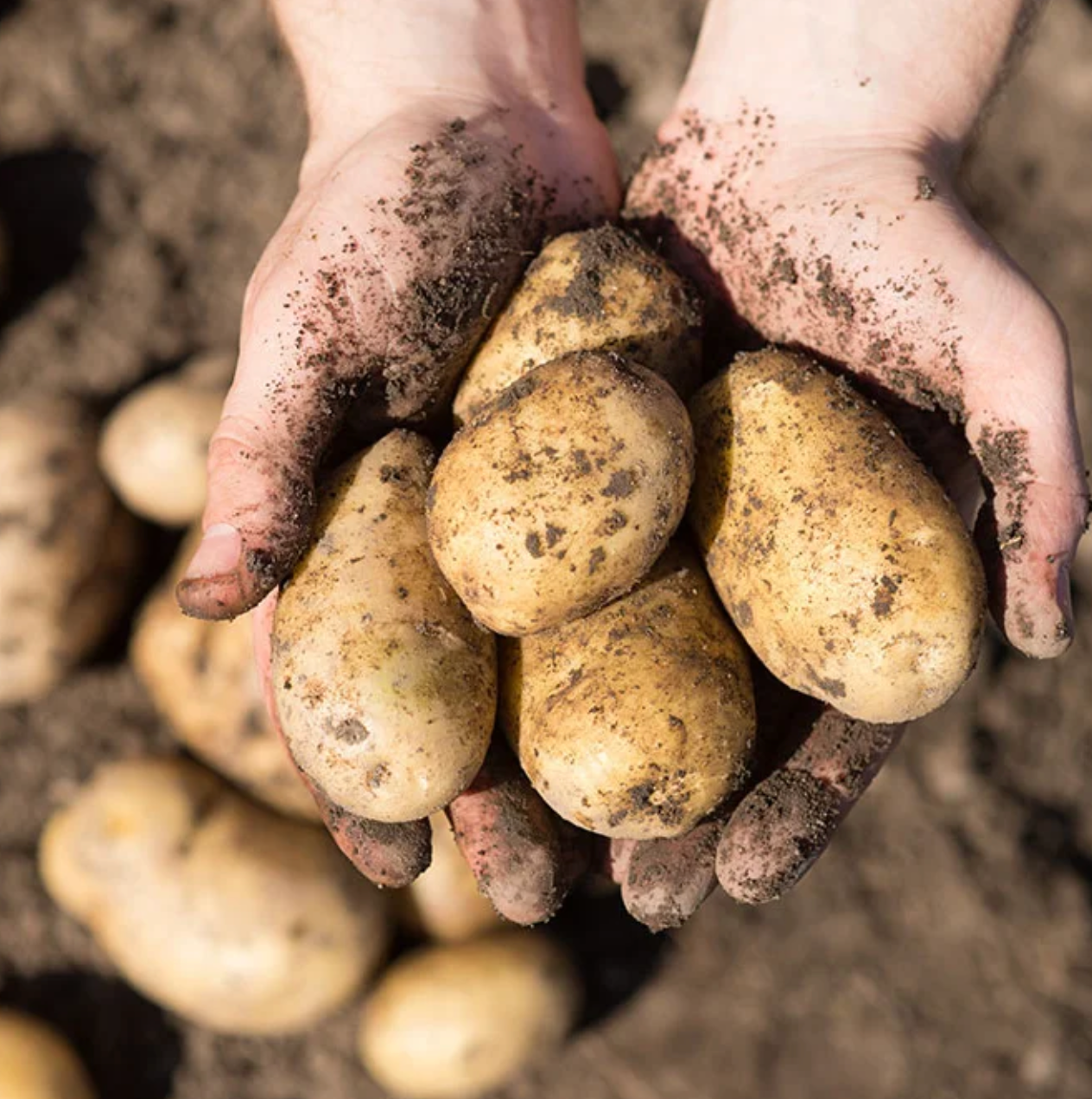 ワイズメンズクラブ＆YMCA協働プロジェクト 「北海道十勝から美味しい