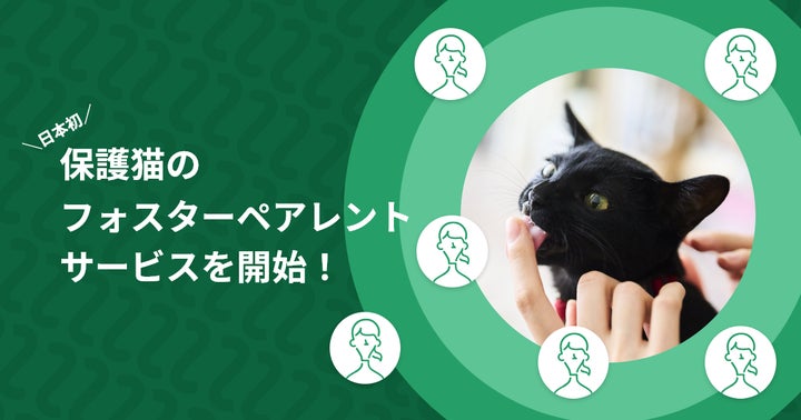 ねこ◎不調の為返信遅れます、プロフ必読様用個別オーダーページ-3 ねこ◎不調の為返信遅れます、プロフ必読様用個別オーダーページ-3