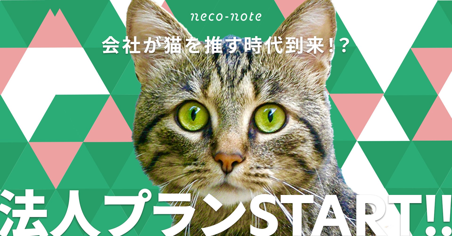 投げ銭 課金の 推し活 で保護猫支援できるwebサービス Neco Note ネコノート 登録猫100匹突破に伴い 待望の法人プランを提供開始だにゃ 22年8月1日より 株式会社neconoteのプレスリリース 投げ銭 課金の 推し活 で保護猫支援できるwebサービス Neco Note ネコノート 登録猫100匹突破に伴い 待望の法人プランを提供開始だにゃ 22年8月1日より 株式会社neconoteのプレスリリース