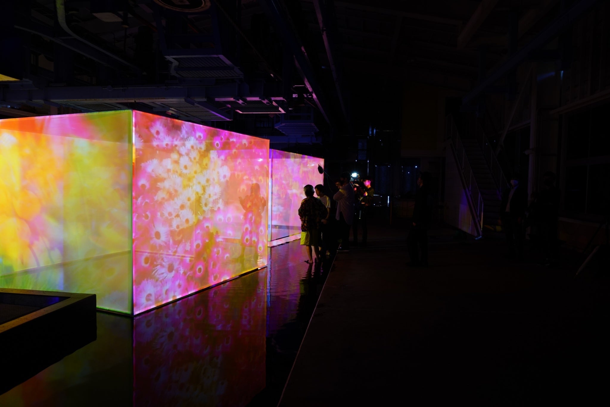 ザイラーゴンドラ山頂駅舎内・映像インスタレーション