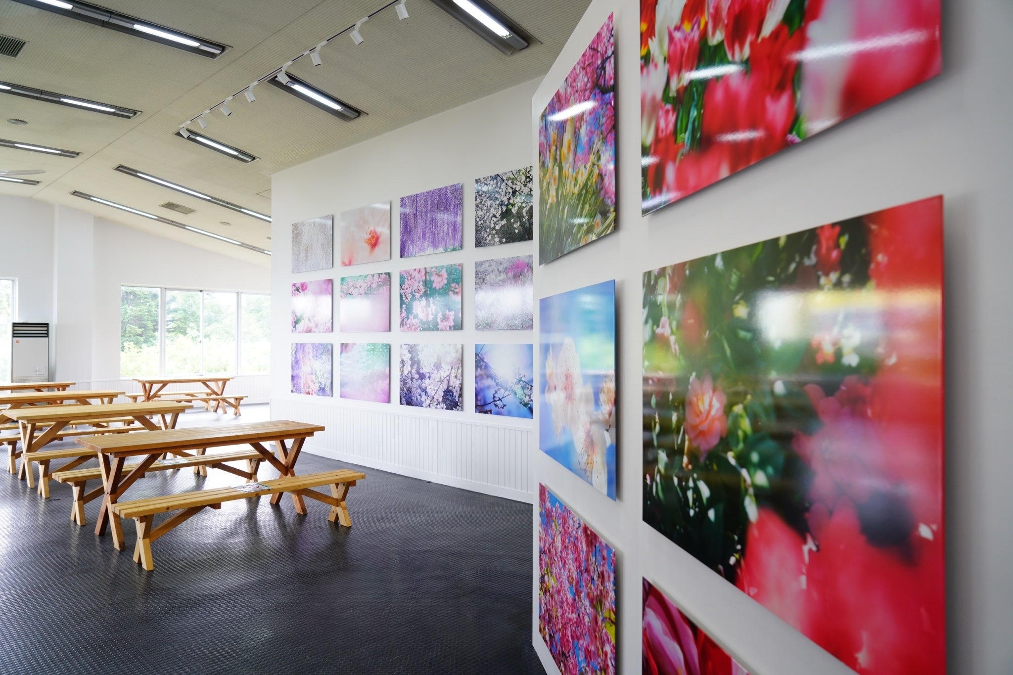 山頂・UNKAIcafeでの蜷川実花さん作品展示