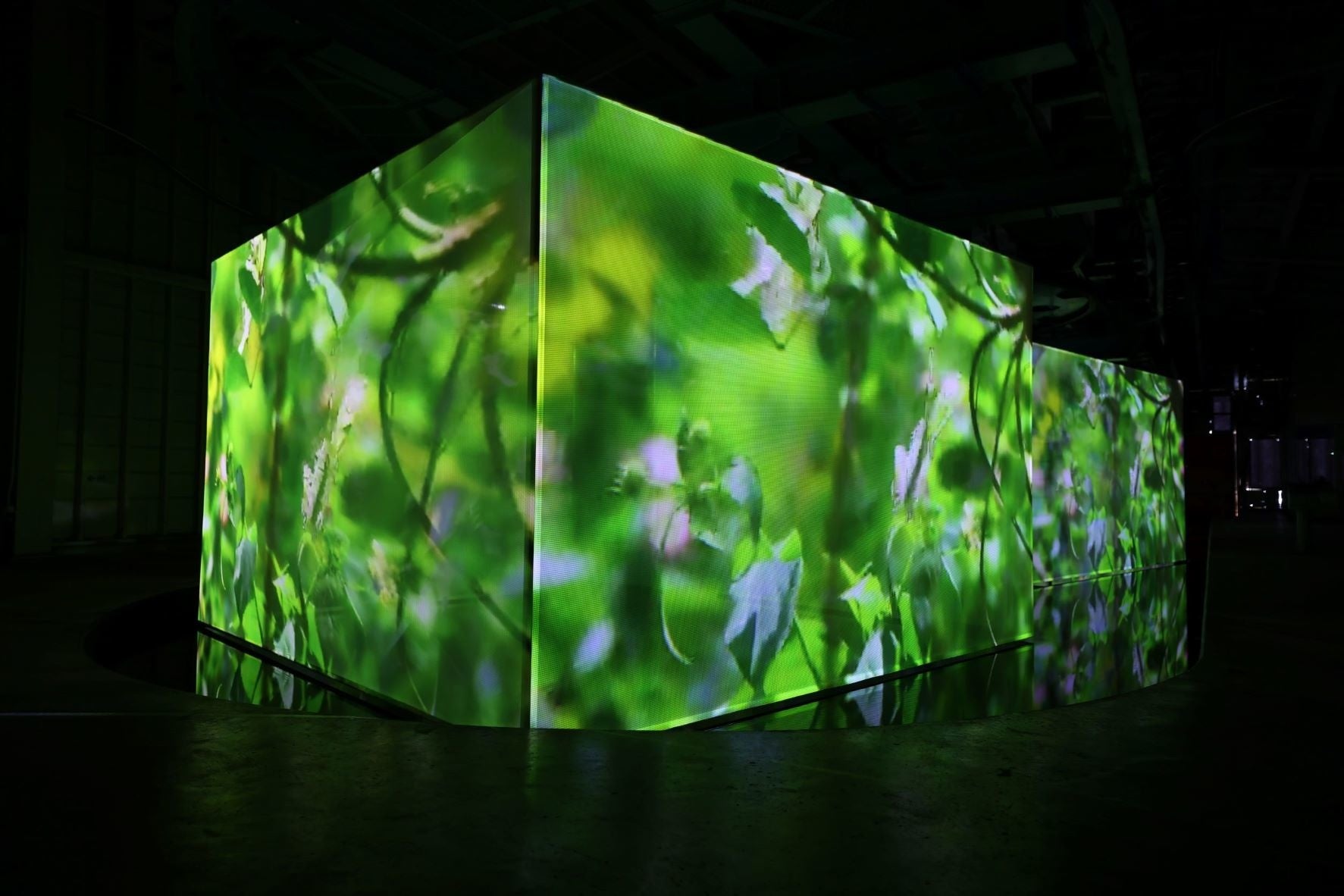 ザイラーゴンドラ山頂駅舎内・映像インスタレーション