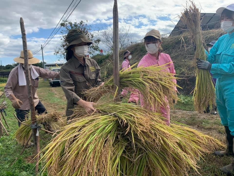 ↑はぜかけ杭かけ