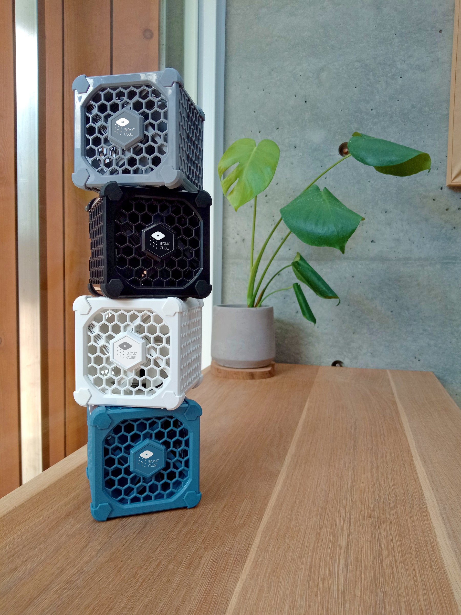 Bionic Cubeカラーバリエーション(1)