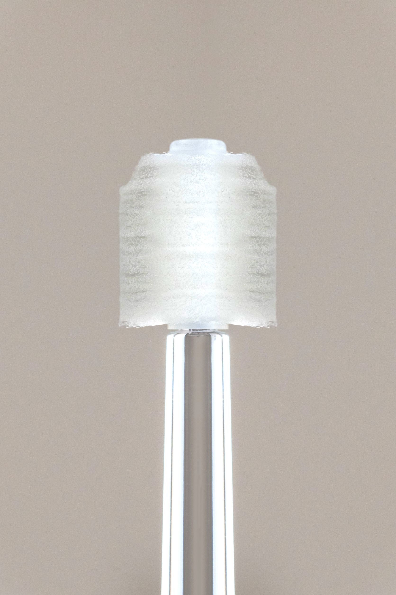 ブラシというよりゼリー体