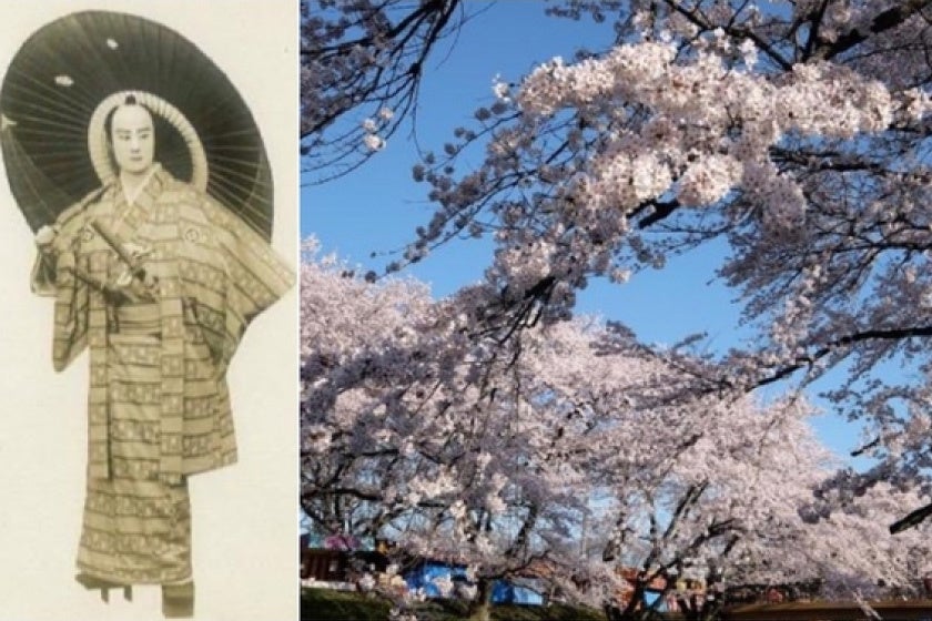 【花桜】 🌸花摘 桜🍒あなたの心に桜の花を咲かせたい (@8723sakura