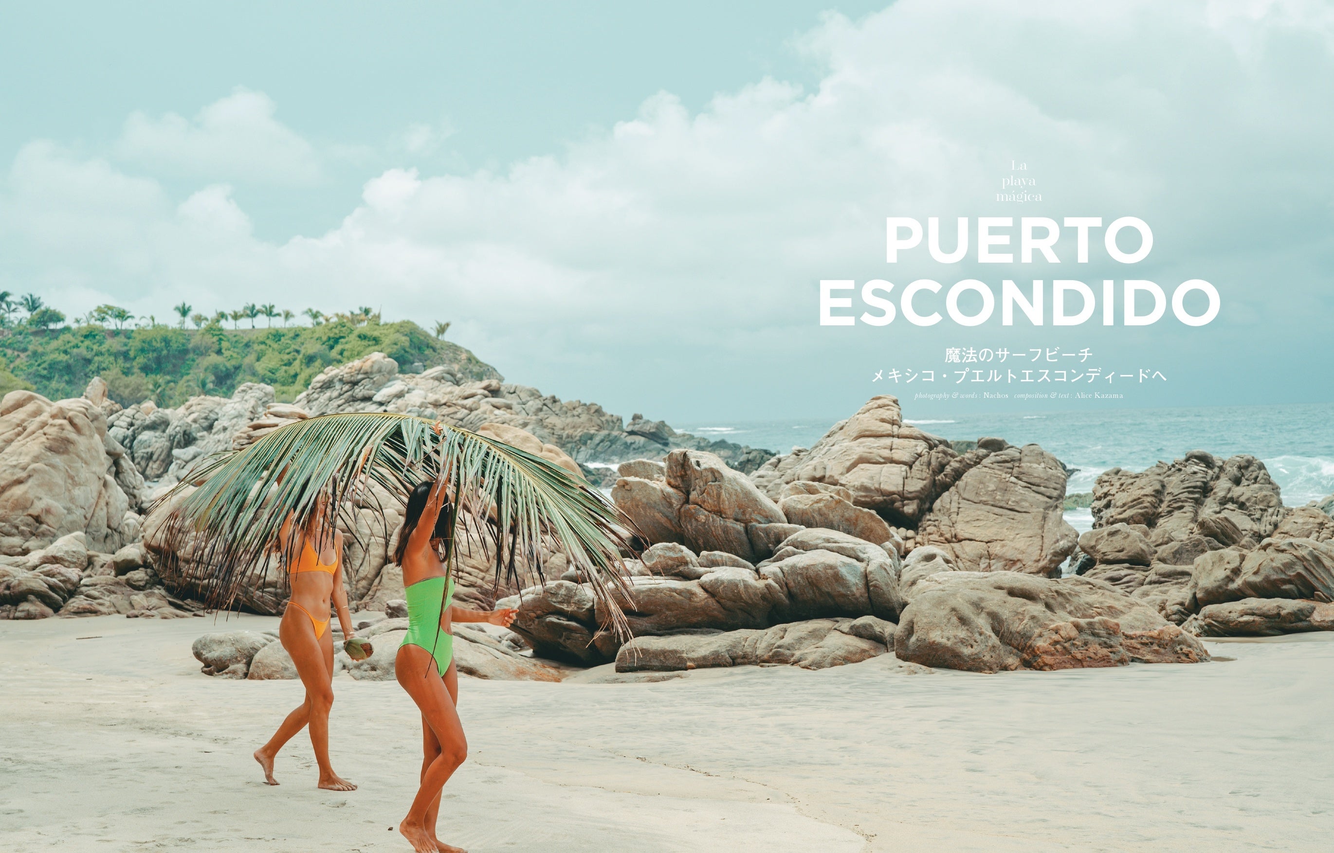 プエルトエスコンディード特集