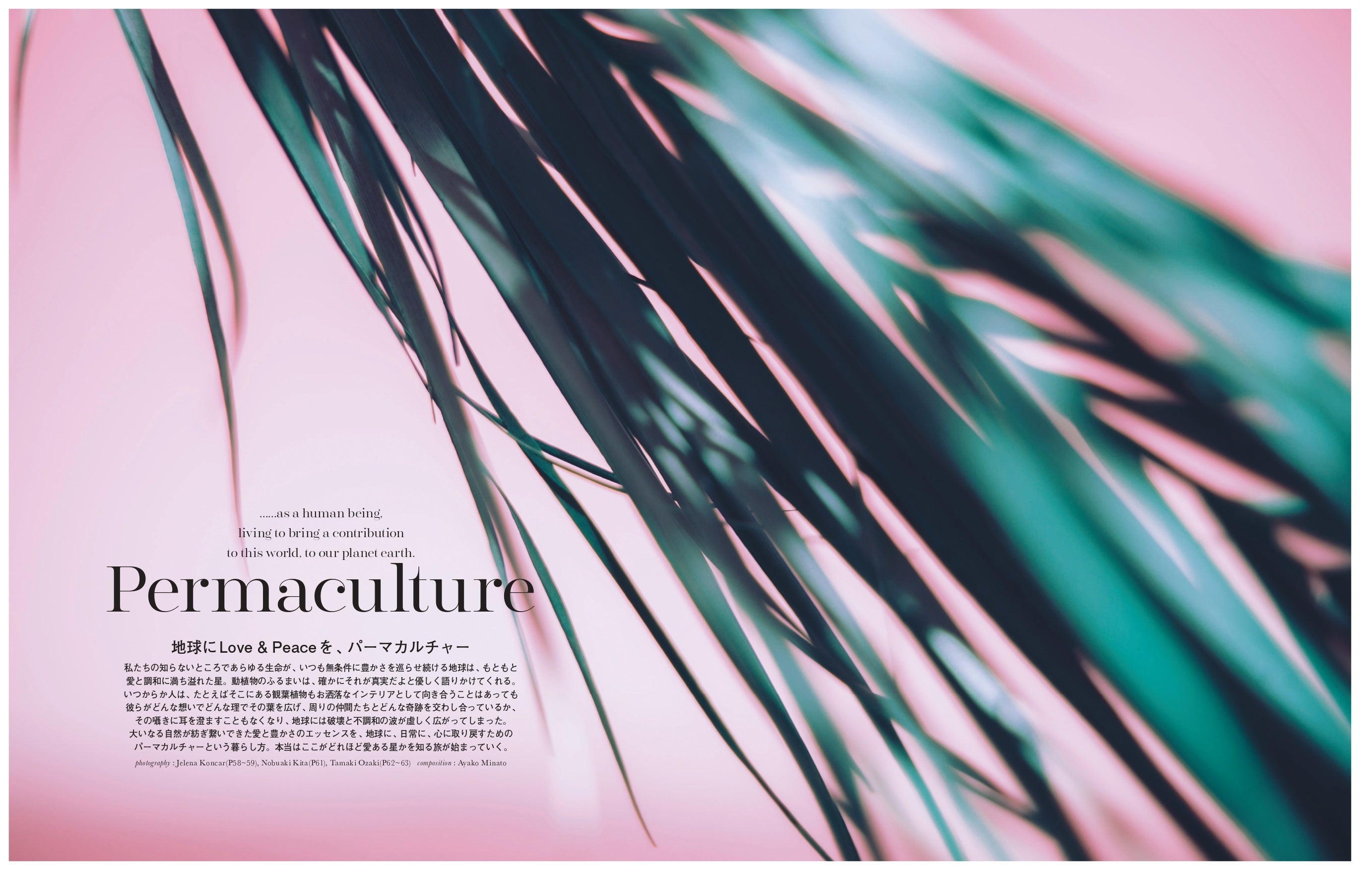 パーマカルチャー特集