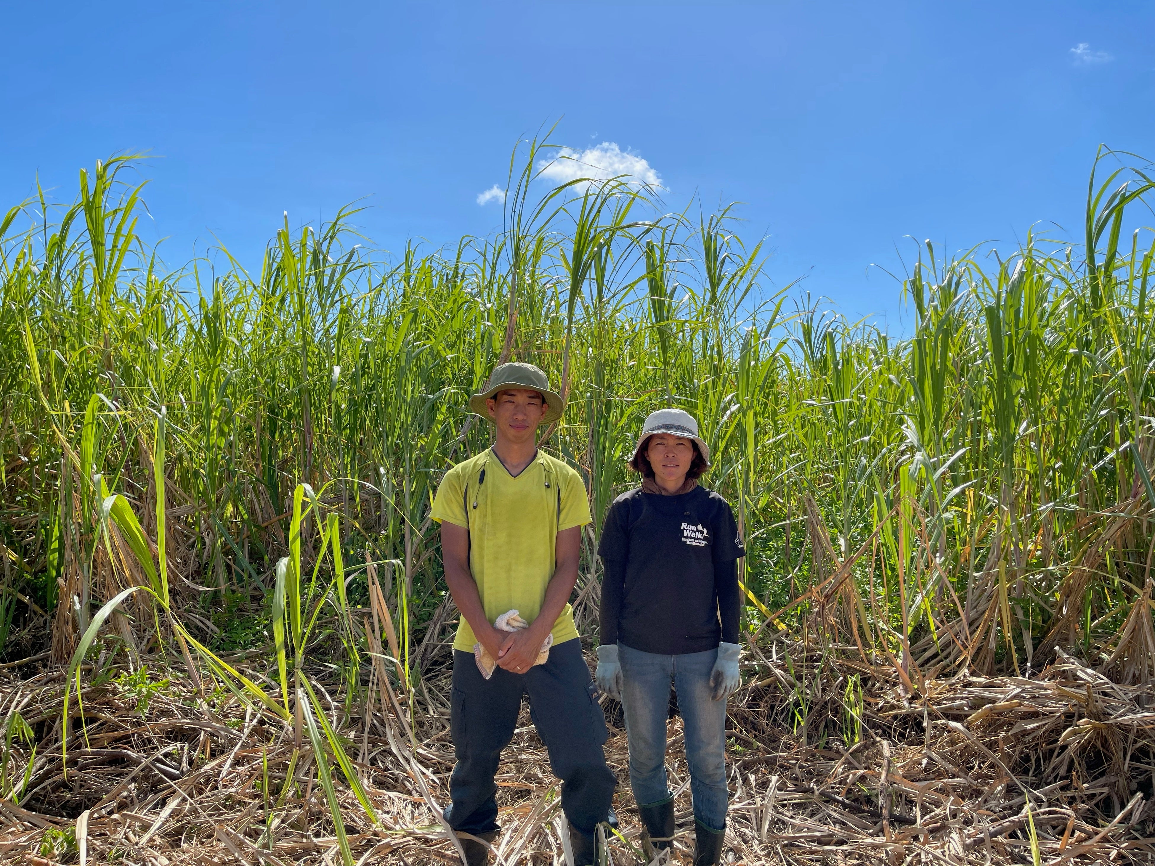 うるおう洗顔粉の原料のひとつ、喜界島産有機黒糖の生産者、杉俣様です。日本で初めてサトウキビを有機栽培されました。