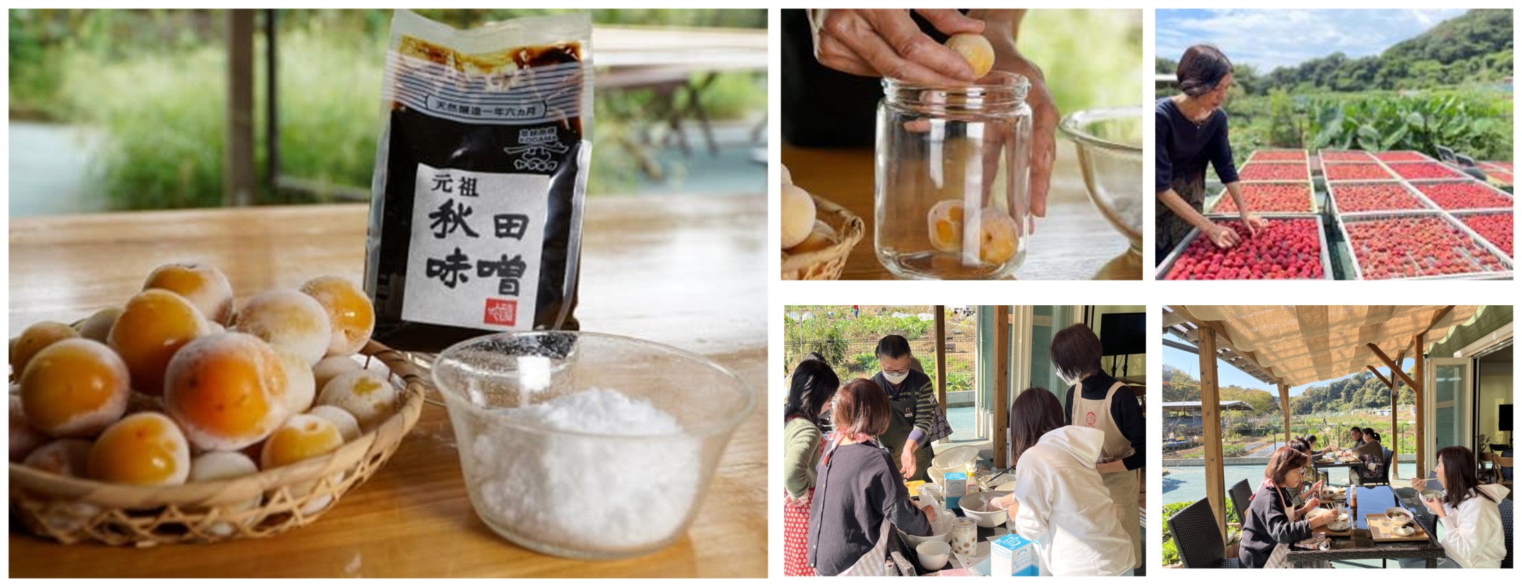 いつでも梅しごと体験