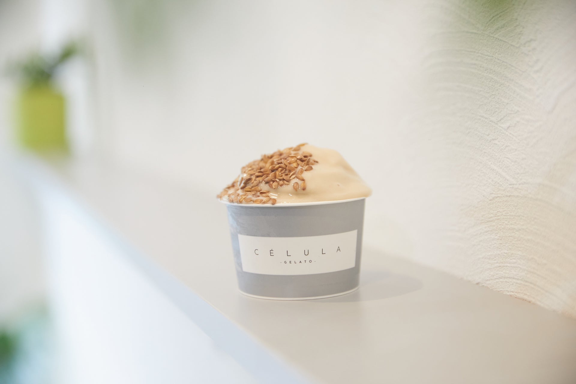 発酵ジェラート