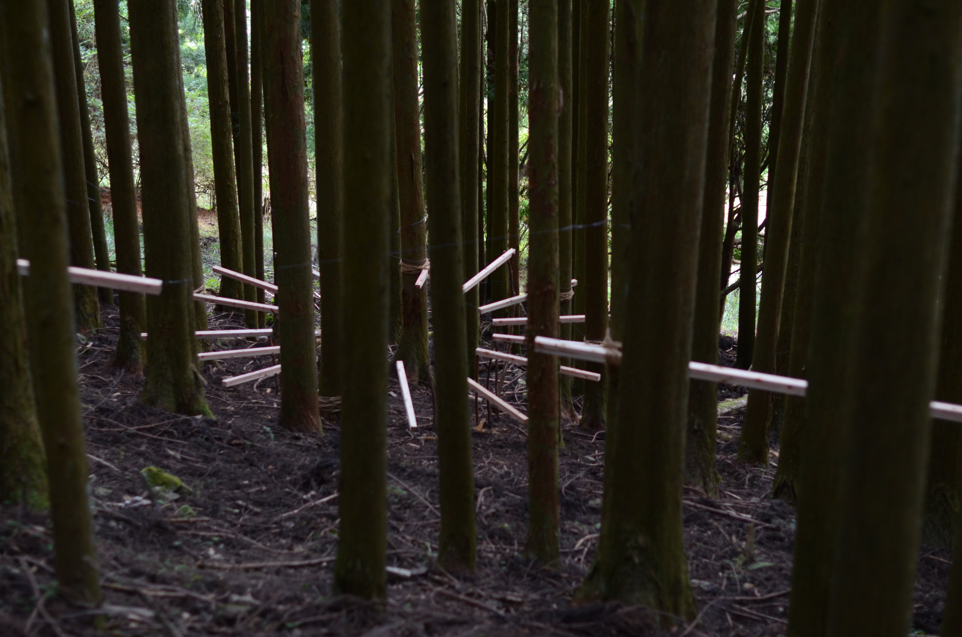 《予感の最小単位-指標-》2021「MIND TRAIL 奥大和 心のなかの美術館」(2021.10.09‒11.28)、奈良県天川村 撮影 江六前一郎