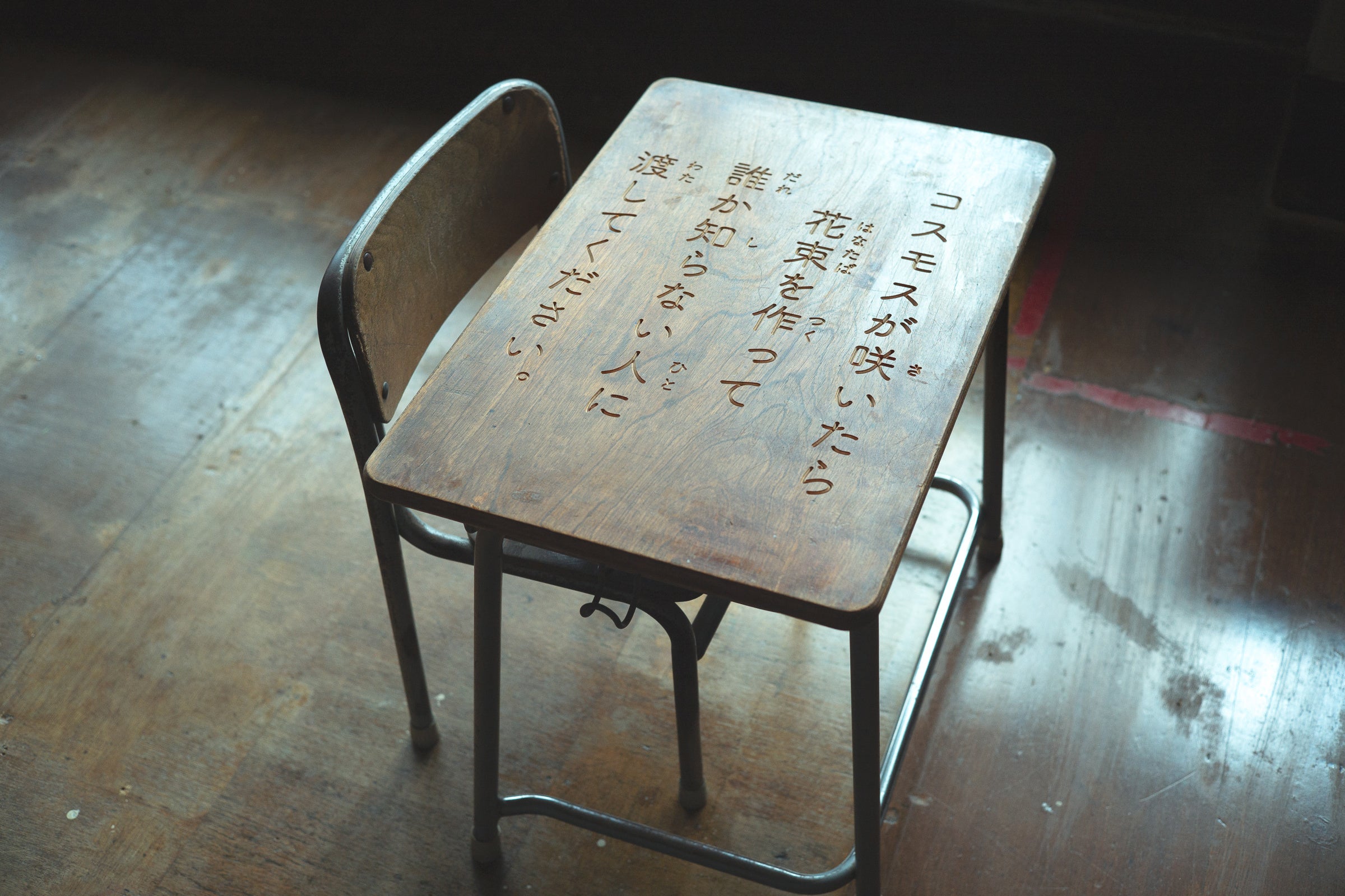 《コスモスが咲いたら花束を作って誰か知らない人に渡してください》2022 大久保分校スタートアップミュージアム つくりえ-TSUCULIE-(2022.4.22~2022.6.12)、栃木 ©KAMADO