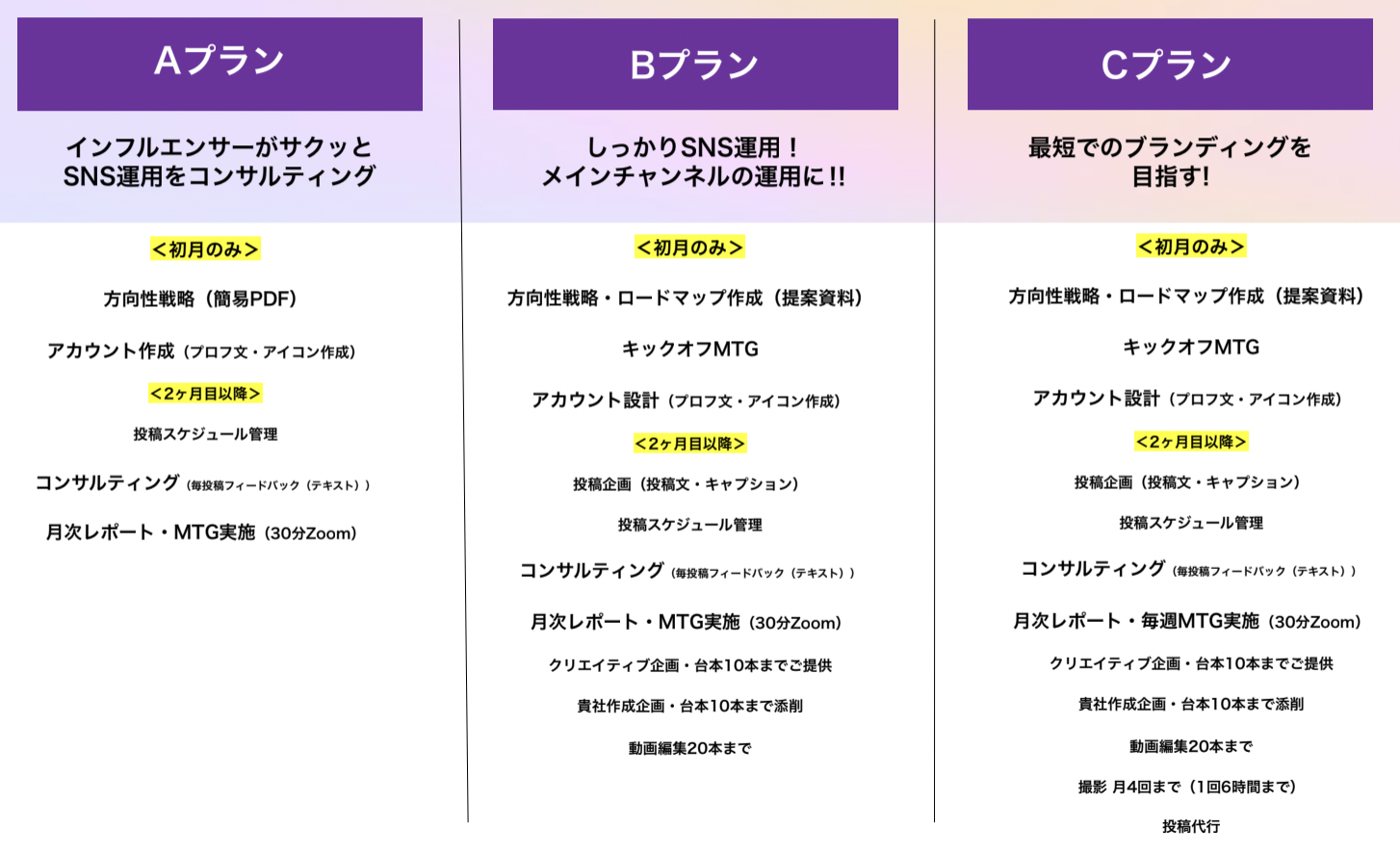 TikTok広告の代理店利用時の手数料相場と注意点