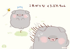 こぶたちゃん専用