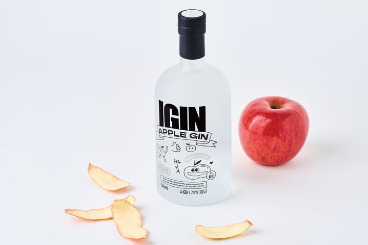 IGIN APPLE GIN アップルジン スプリングエディション BTS ジン BTS ジン IGIN APPLE GIN アップルジン スプリングエディション