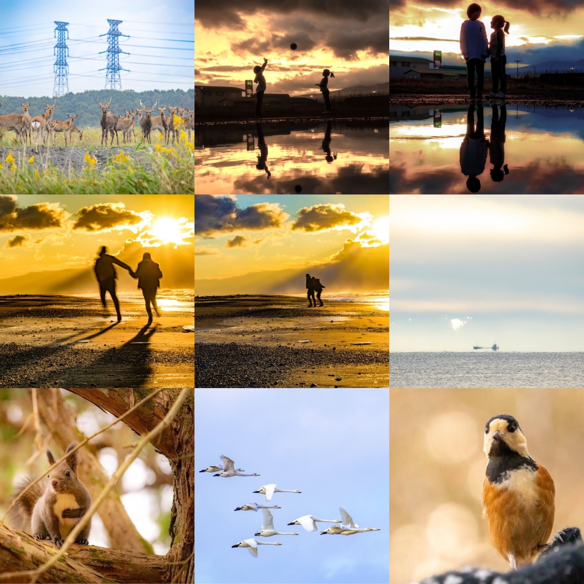 北海道胆振の風景写真photo,emin