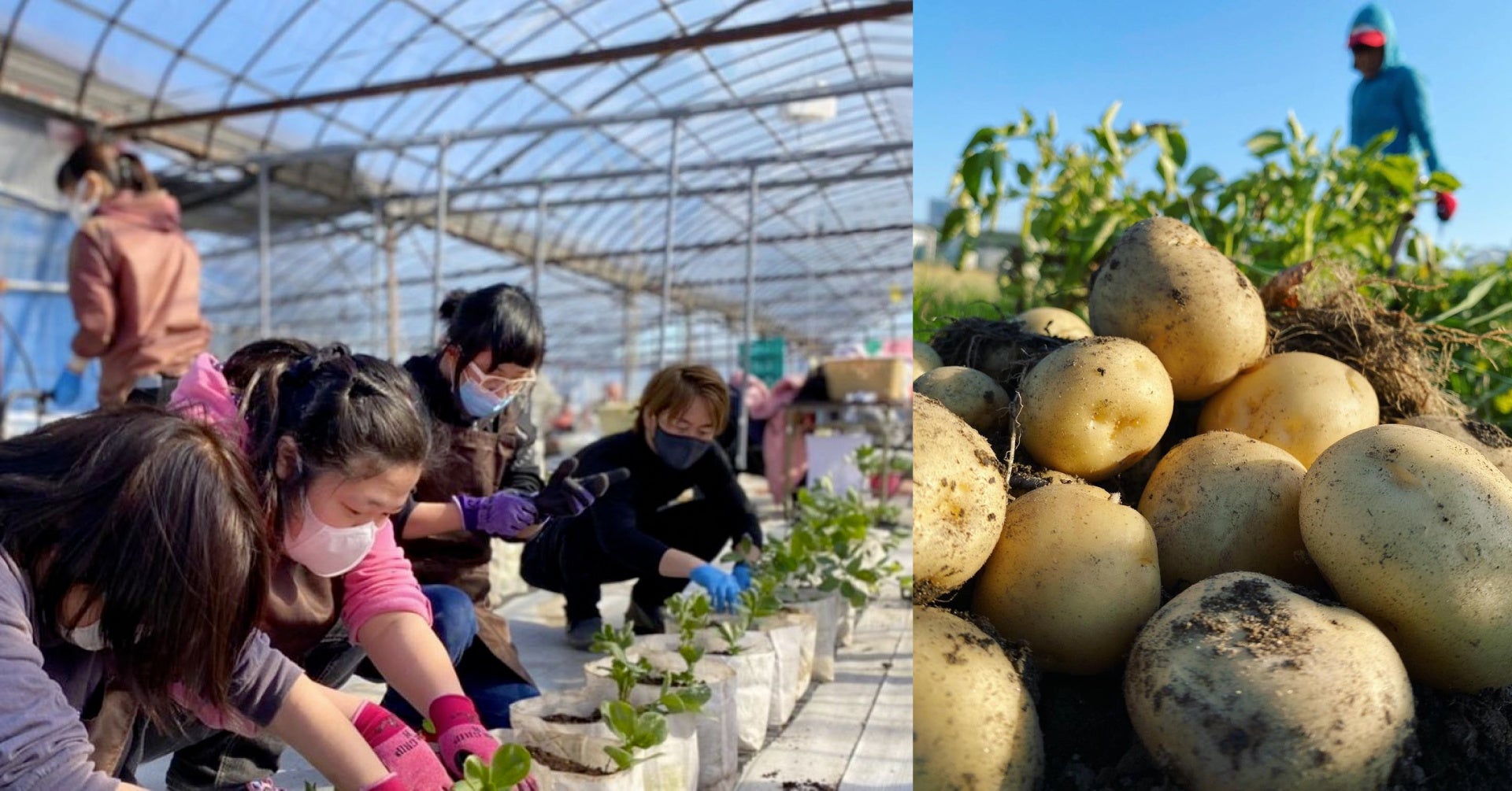 農業体験のイメージ