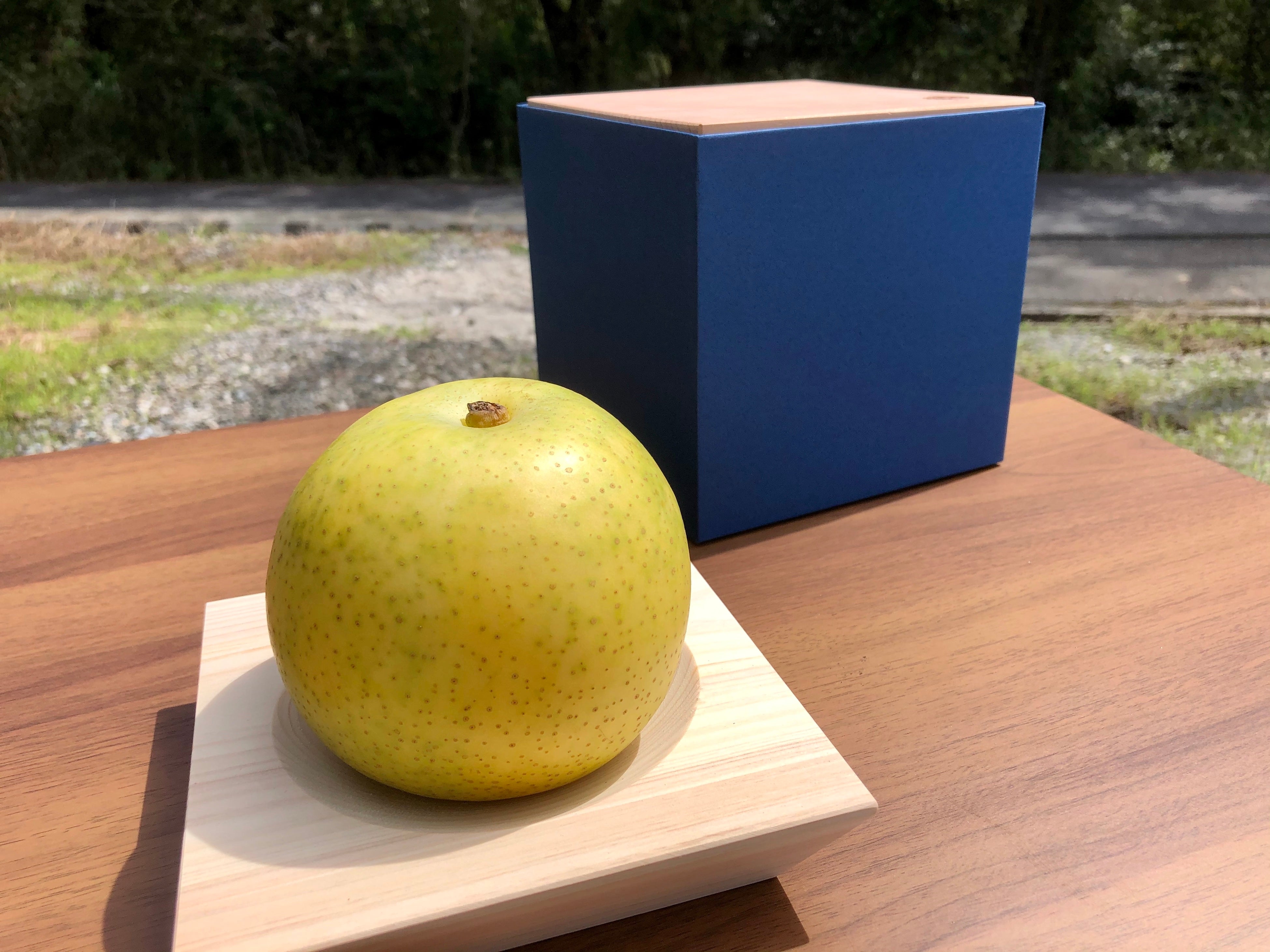 30個限定販売】奈良県プレミアムセレクト認定 ＜プレミアム20世紀梨