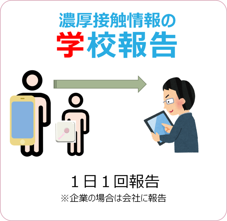 ④ 濃厚接触情報の報告