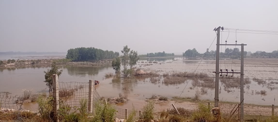 水が引き始めた被災地