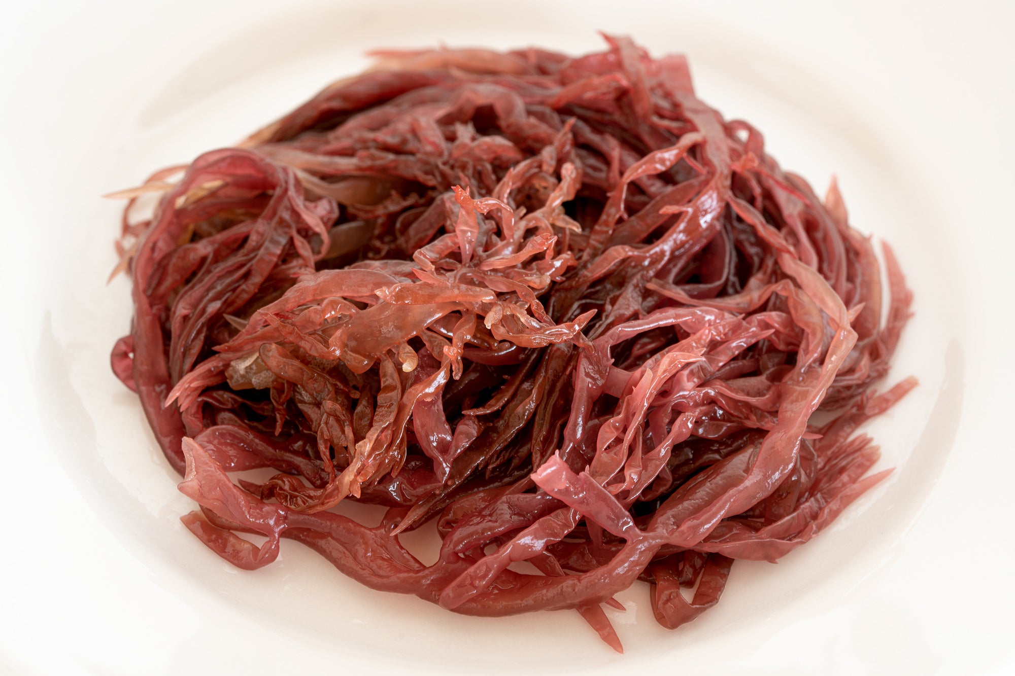 新発売】海藻の新たな生産方法から食文化まで提案する「シー