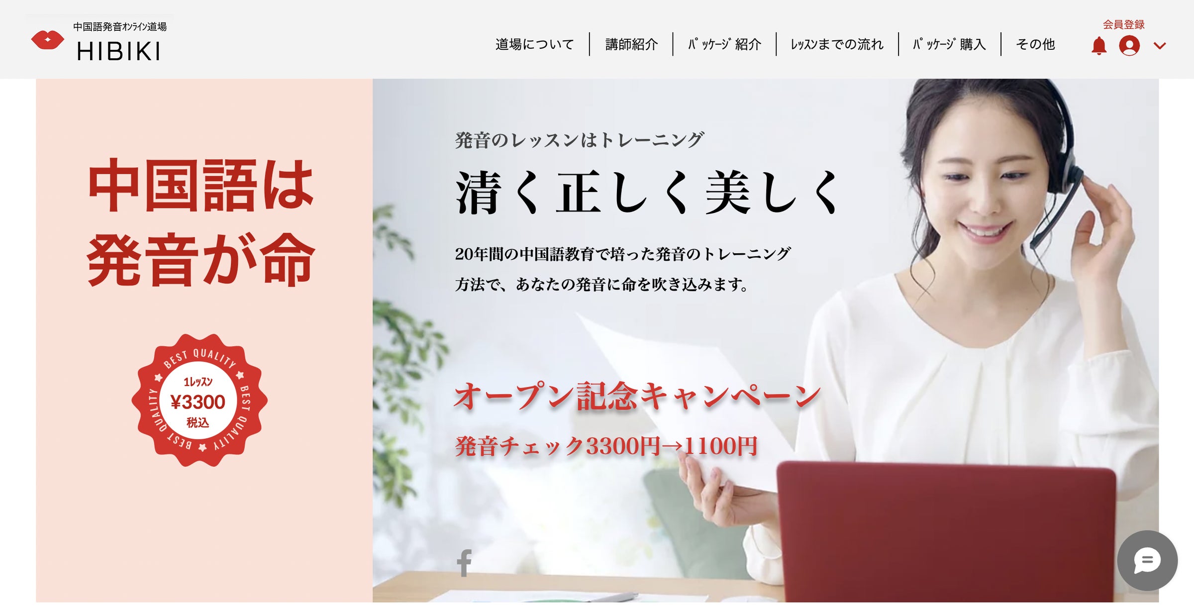 活動歴および当時の関連ビジュアル記録