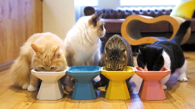 写真左から スノーホワイト/スモーキーブルー/ハニーイエロー/シャーベットピンク