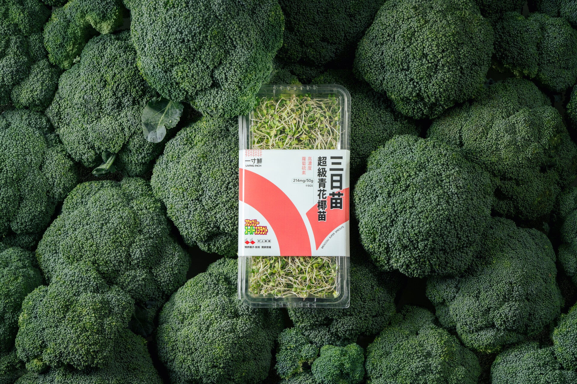 三日苗バッケージ