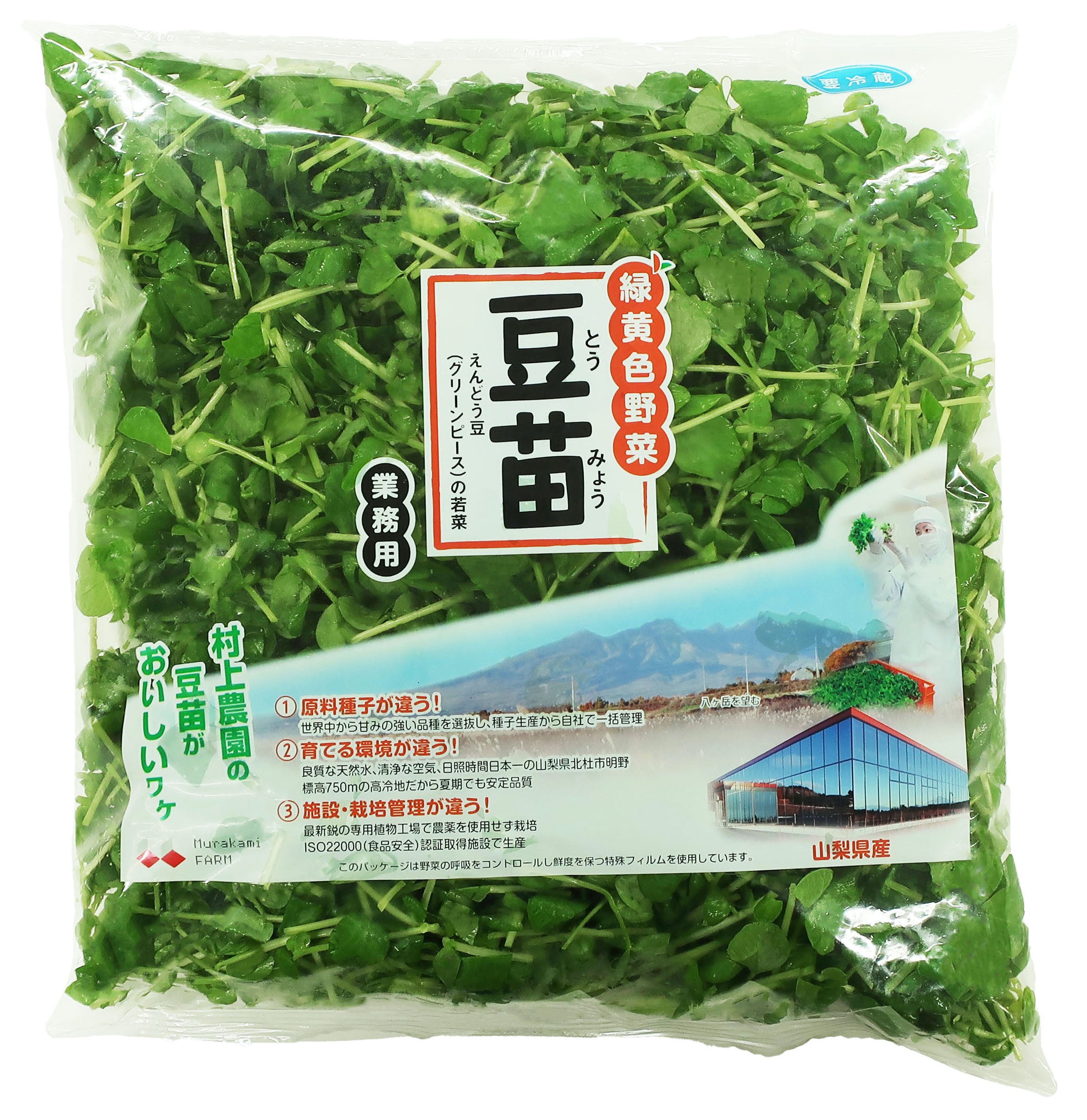 「業務用豆苗」