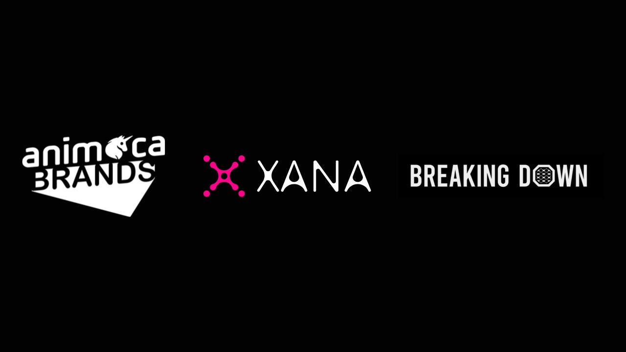 BreakingDownがWeb3で世界進出!Animoca Brands Japanが支援 BreakingDownがWeb3で世界進出!Animoca Brands Japanが支援