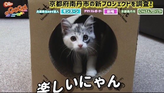 ＊BSよしもと（265ch）11月14日14：00～放送予定番組から