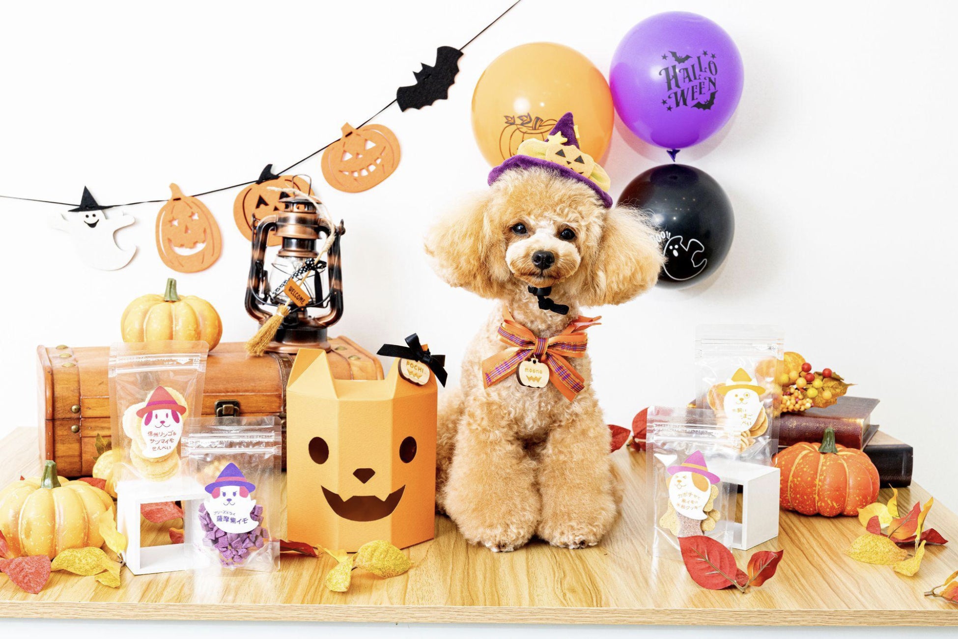 国内最大級の犬情報メディア Flaffy がギフトモールと協業 ハロウィン限定の愛犬おやつギフト をgiftmallで限定販売開始 株式会社flaffyのプレスリリース 国内最大級の犬情報メディア Flaffy がギフトモールと協業 ハロウィン限定の愛犬おやつギフト をgiftmallで限定販売開始 株式会社flaffyのプレスリリース