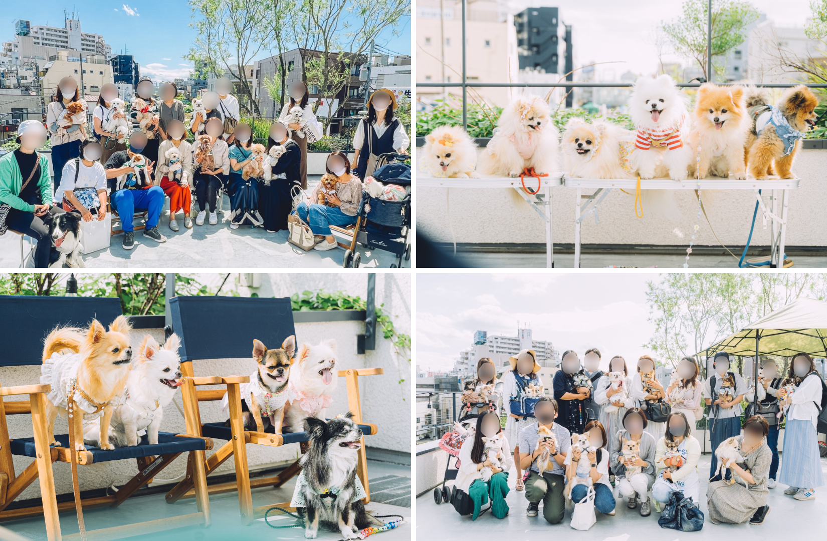 イヌもヒトも一緒に楽しめるイベント Flaffy Marche Vol 2 を22年11月に大阪 東京にて開催 株式会社flaffyのプレスリリース