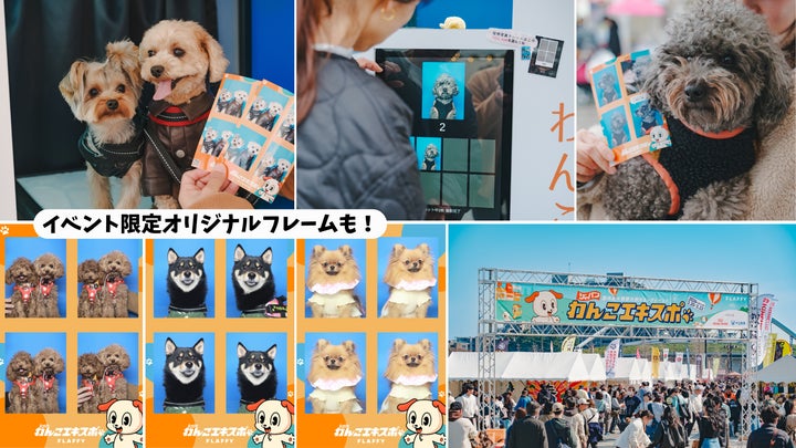 FLAFFY「わんこ証明写真」がsakagamike caféと初コラボ!限定フレーム FLAFFY「わんこ証明写真」がsakagamike caféと初コラボ!限定フレーム