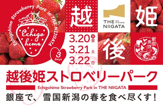 銀座で“幻のいちご”越後姫を食べ尽くす3日間 「2026 越後姫ストロベリーパーク in THE NIIGATA」 3/20(金・祝)~22(日)開催 銀座で“幻のいちご”越後姫を食べ尽くす3日間 「2026 越後姫ストロベリーパーク in THE NIIGATA」 3/20(金・祝)~22(日)開催