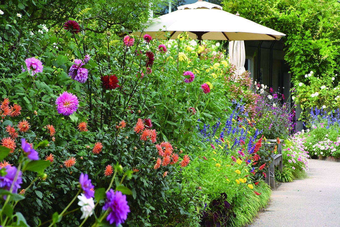 みつけイングリッシュガーデン