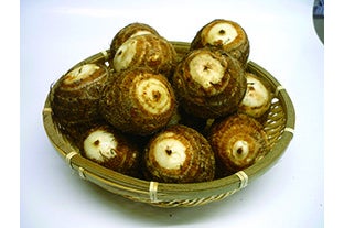 Ks0ivwhyzf08vm Ks0ivwhyzf08vm