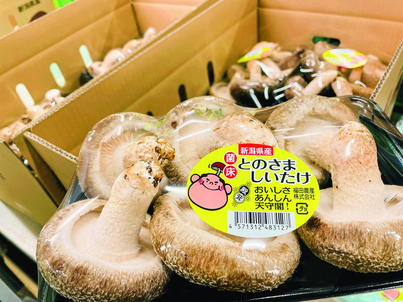 とのさましいたけ