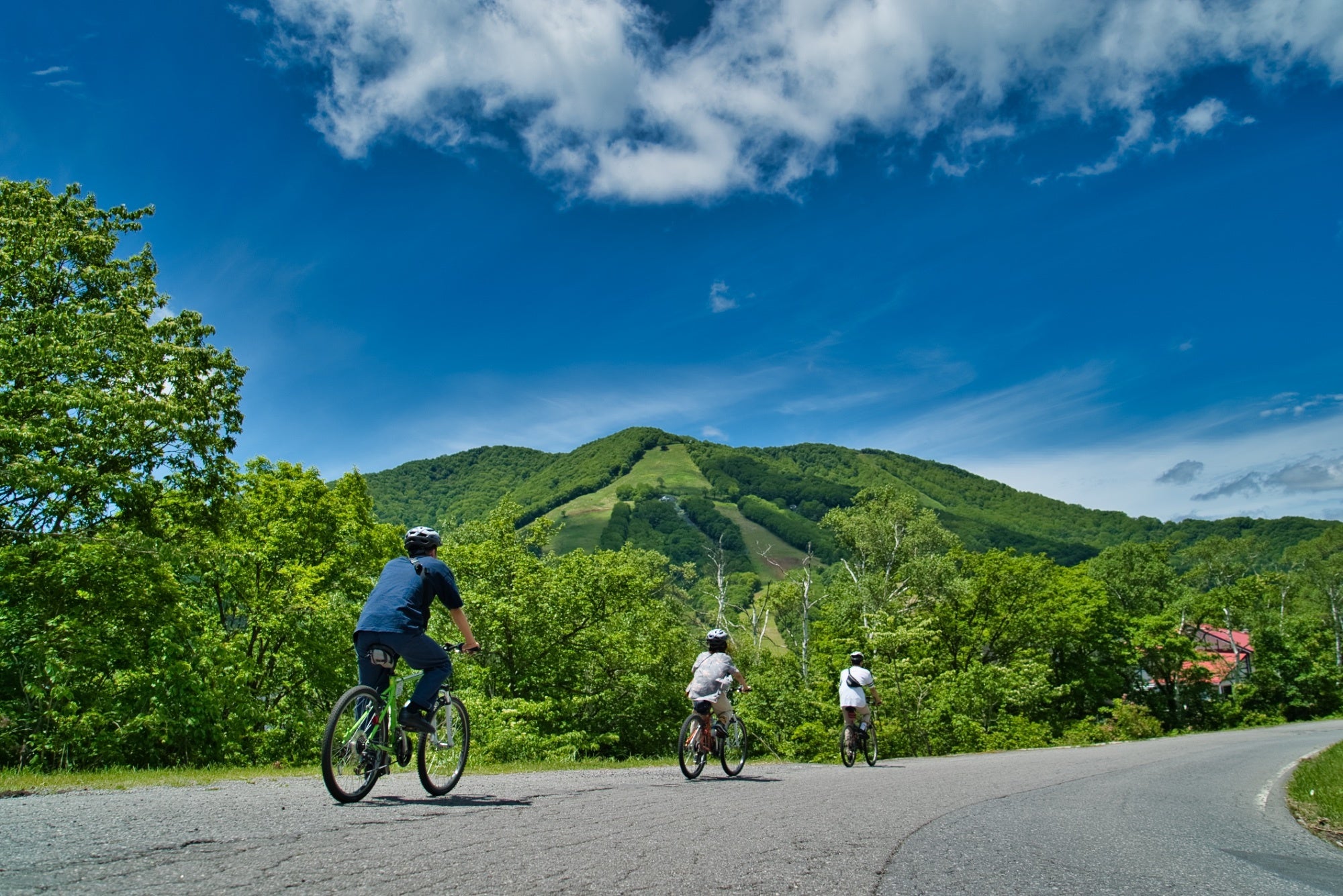 グリーンシーズンの清々しいサイクリング