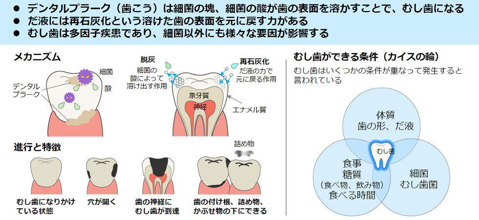 eラーニングのコンテンツの一部