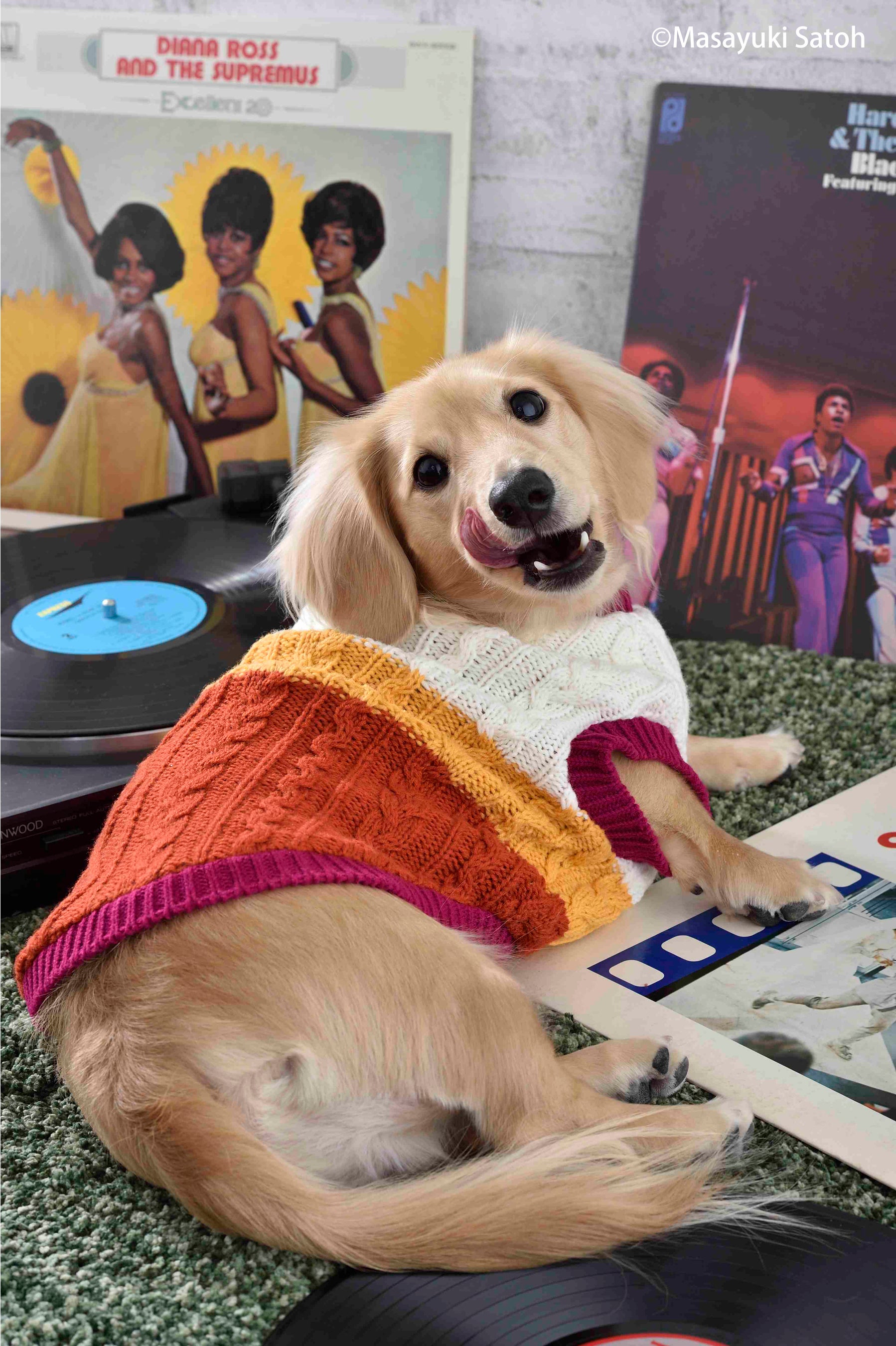 ポップな雰囲気のお部屋♪