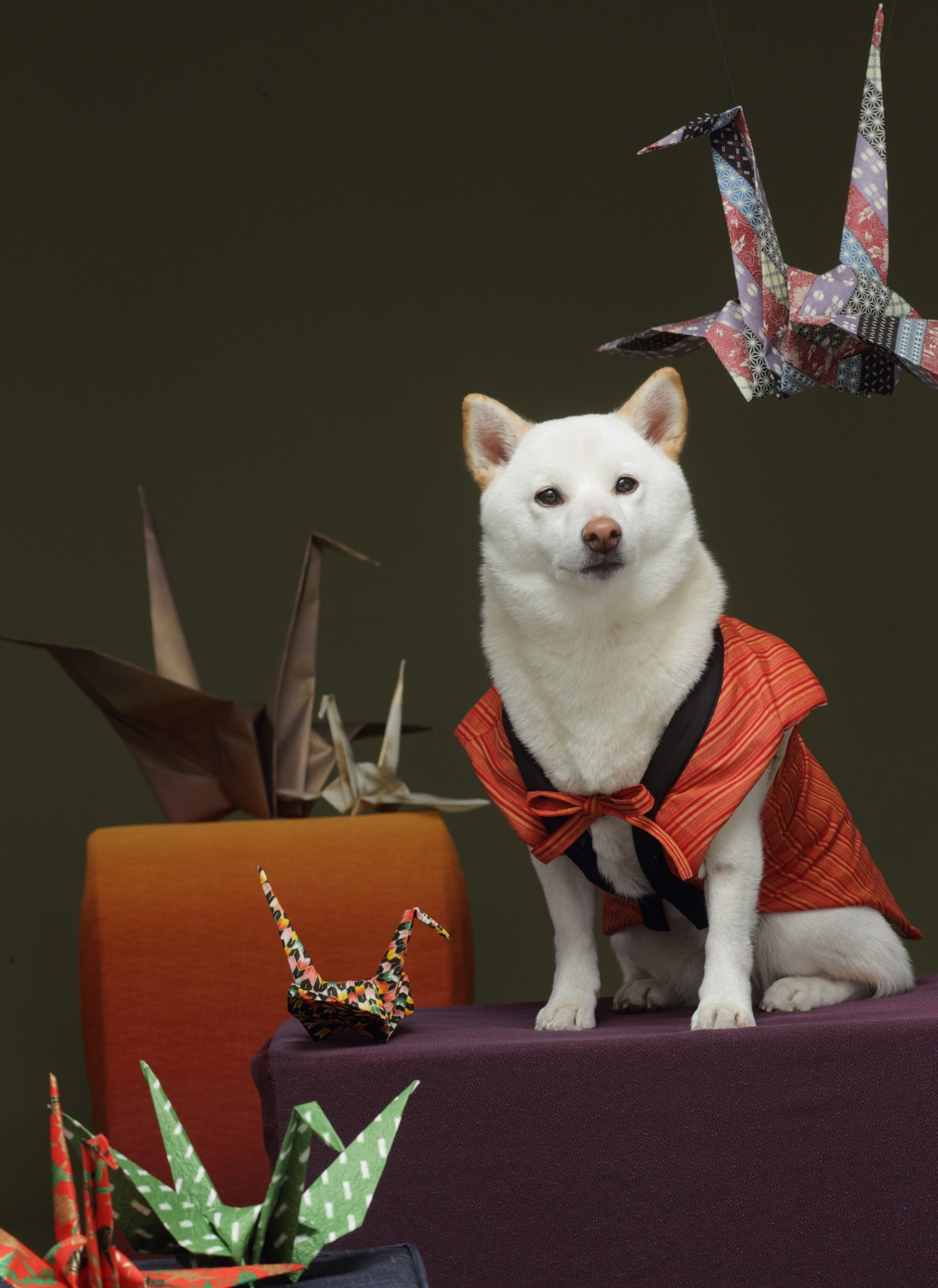 和風セットは華やかな折り鶴とともに♪