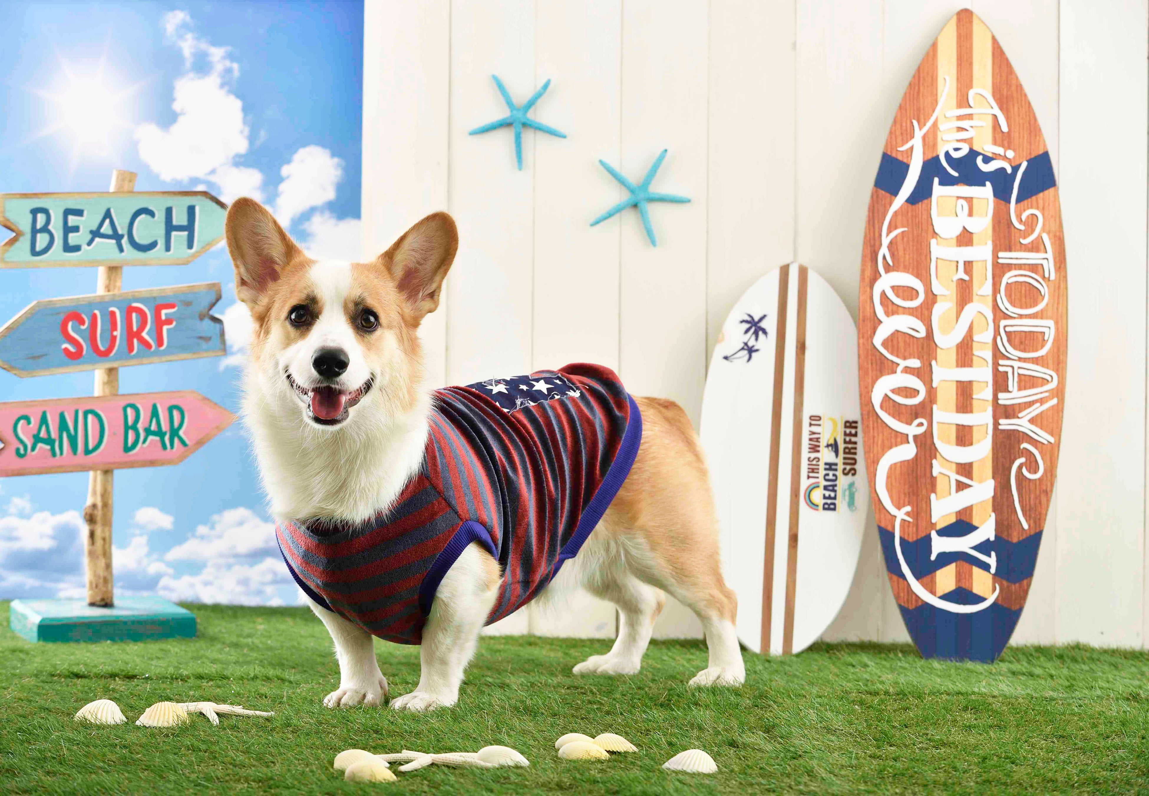 木彫りの日本画風コーギーの壁掛け