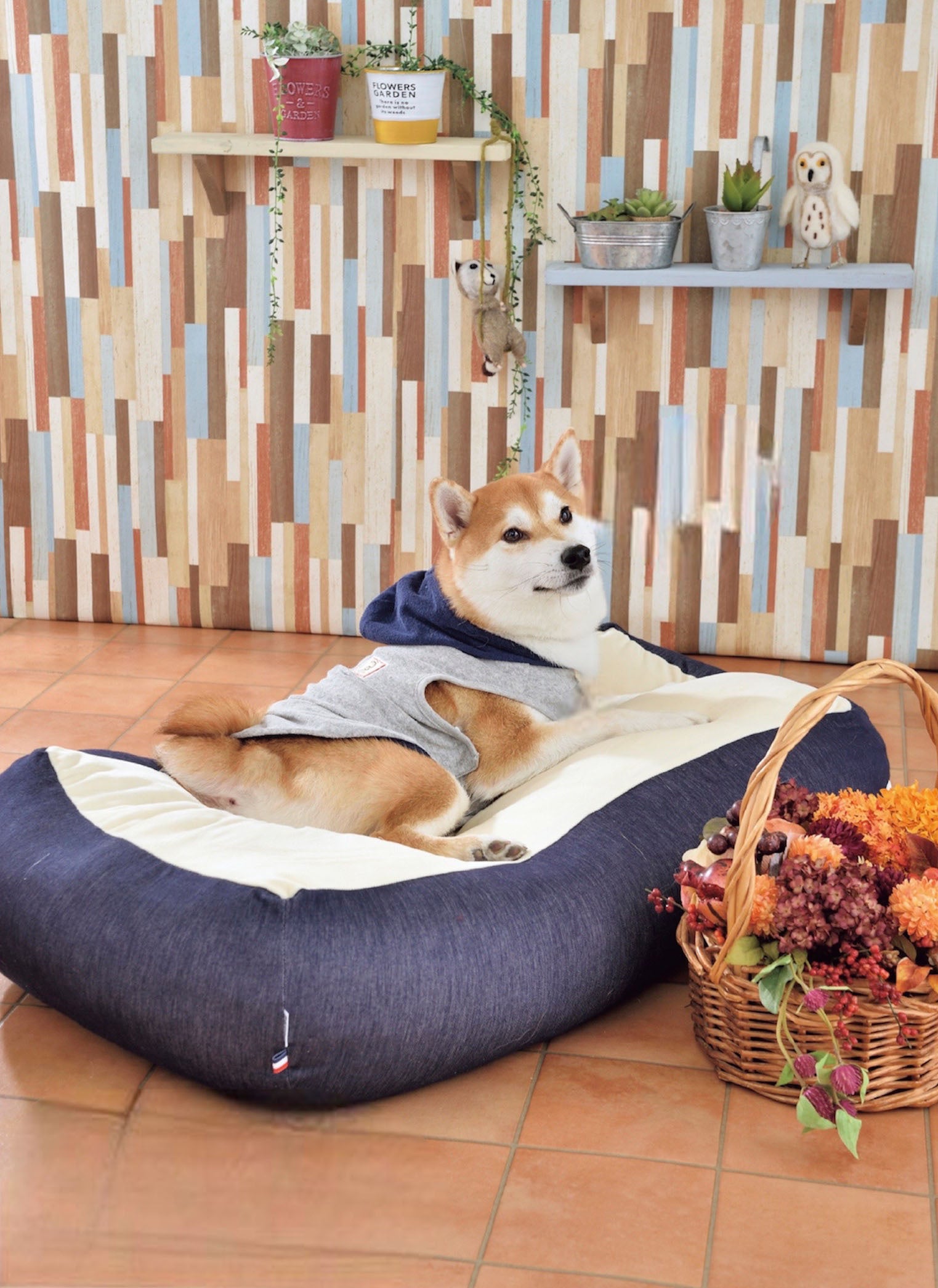 アットホームな空間でのびのび撮影！