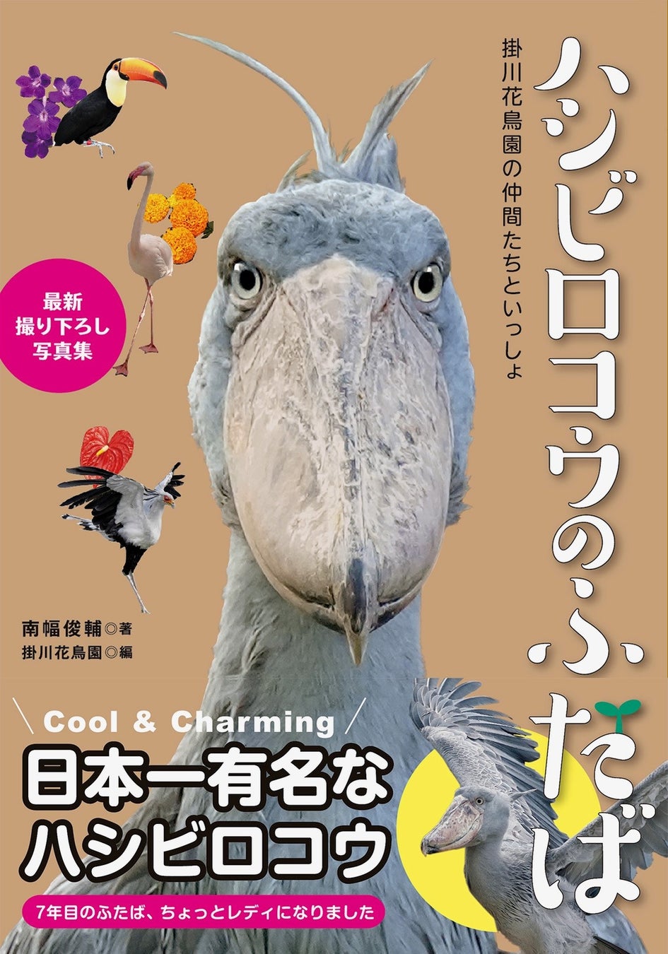 当時のメディア報道・掲載写真