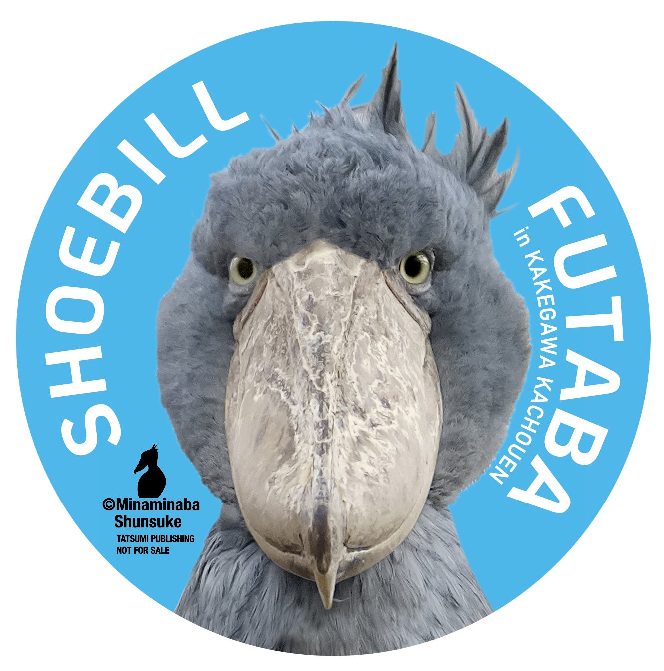 Amazon限定版特典：オリジナルステッカー